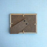 【原画】いりこ1匹