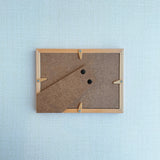 【原画】いりこ1匹