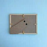 【原画】いりこ1匹